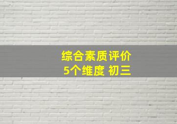 综合素质评价5个维度 初三